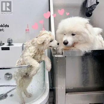 Not Disclosed, , - Image 5