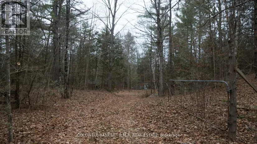 8860 County Rd 41, Addington Highlands (Addington Highlands), ON - Image 11