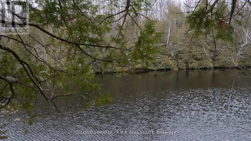 8860 County Rd 41, Addington Highlands (Addington Highlands), ON - Image 12