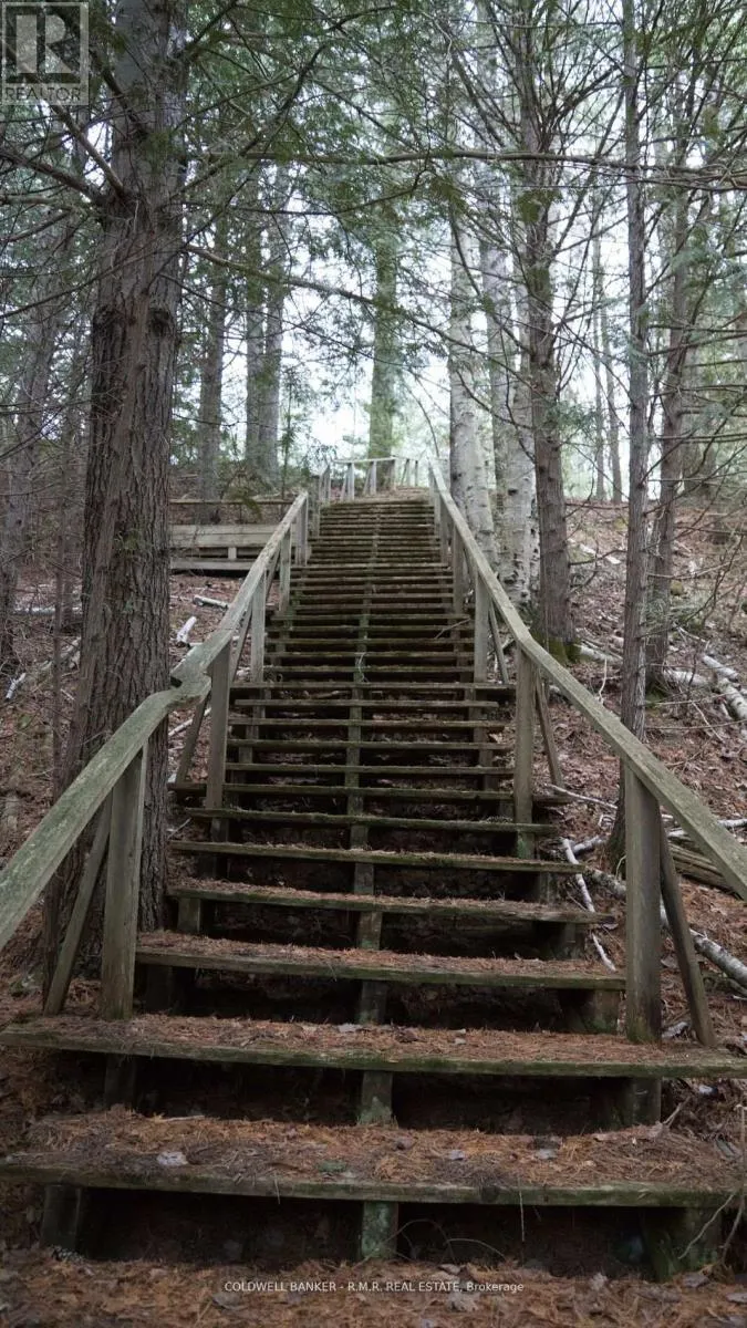 8860 County Rd 41, Addington Highlands (Addington Highlands), ON - Image 19