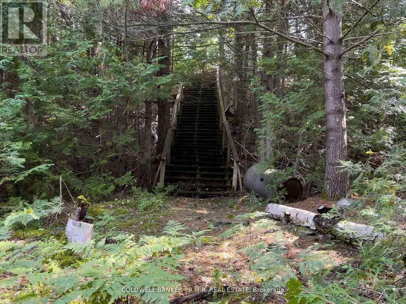 8860 County Rd 41, Addington Highlands (Addington Highlands), ON - Image 36