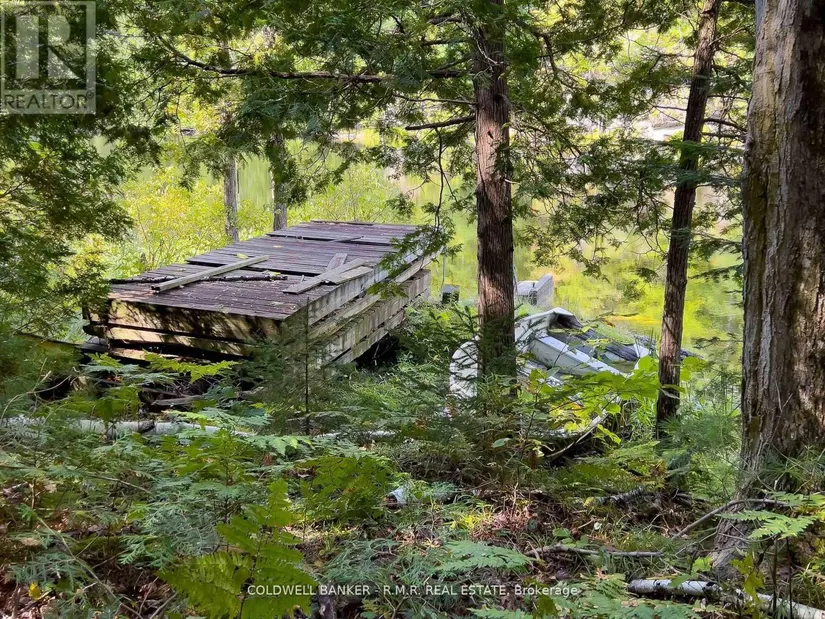 8860 County Rd 41, Addington Highlands (Addington Highlands), ON - Image 37