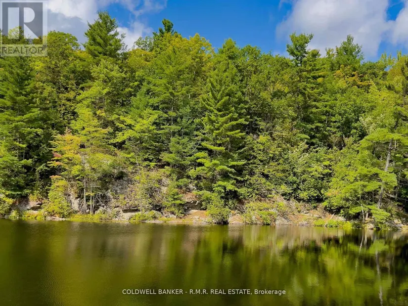 8860 County Rd 41, Addington Highlands (Addington Highlands), ON - Image 8