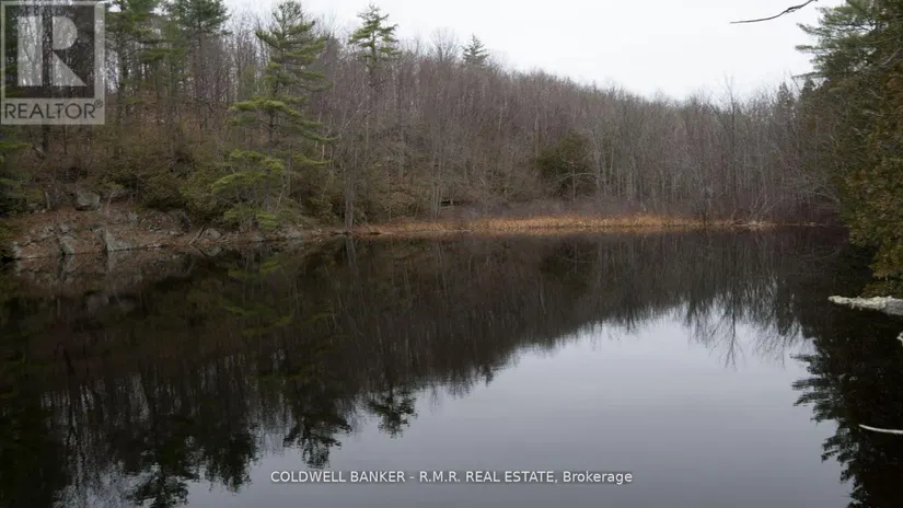 8860 County Rd 41, Addington Highlands (Addington Highlands), ON - Image 9